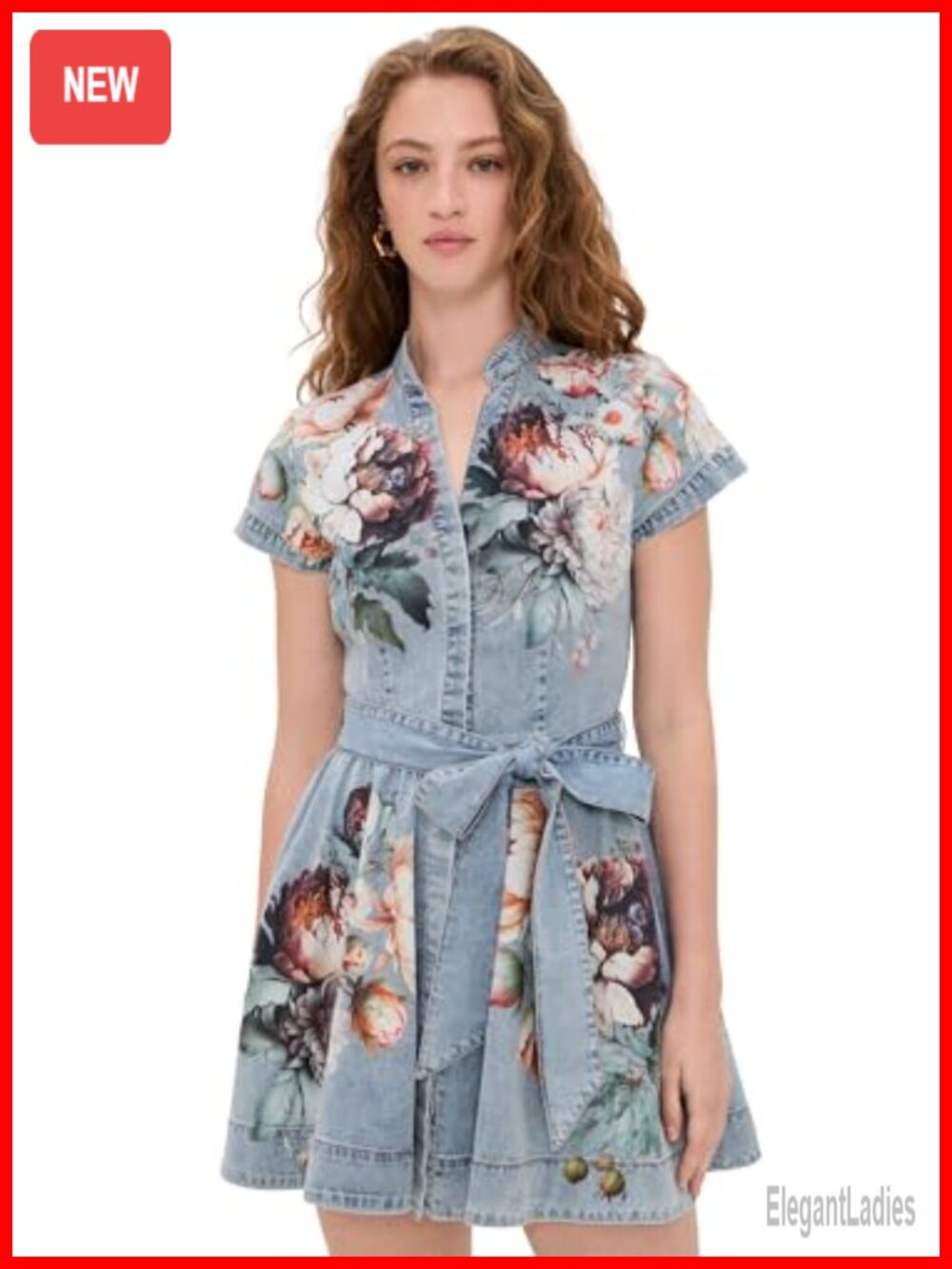Lucy Mini Denim Shirt Dress Fit & Flare Collared Button Front Casual
